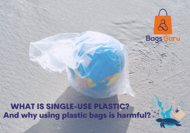 What is single-use plastic? And why using plastic bags is harmful 